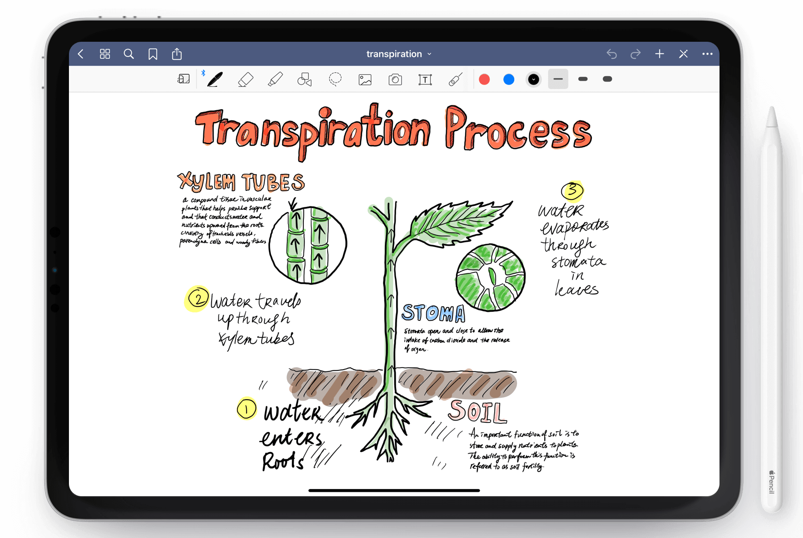 Is Goodnotes Reliable